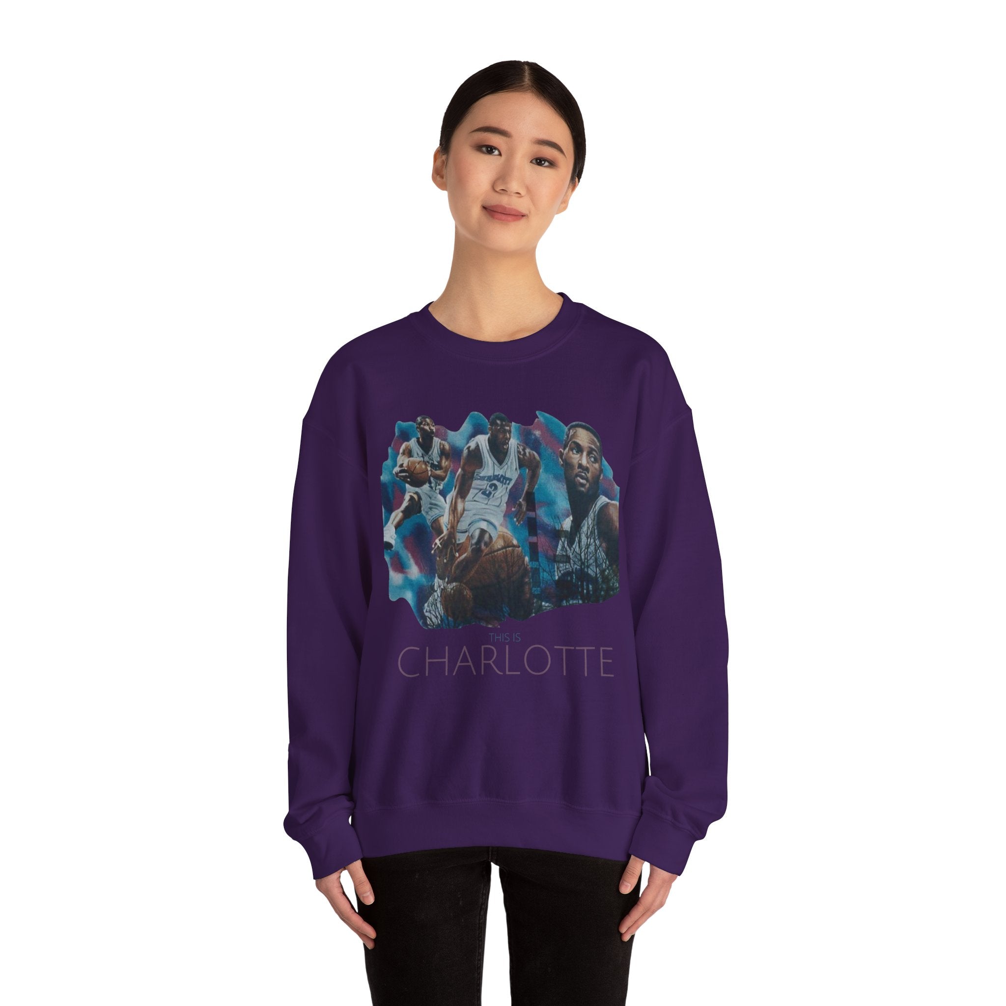 CLT Hornets Vintage Mural Sweatshirt