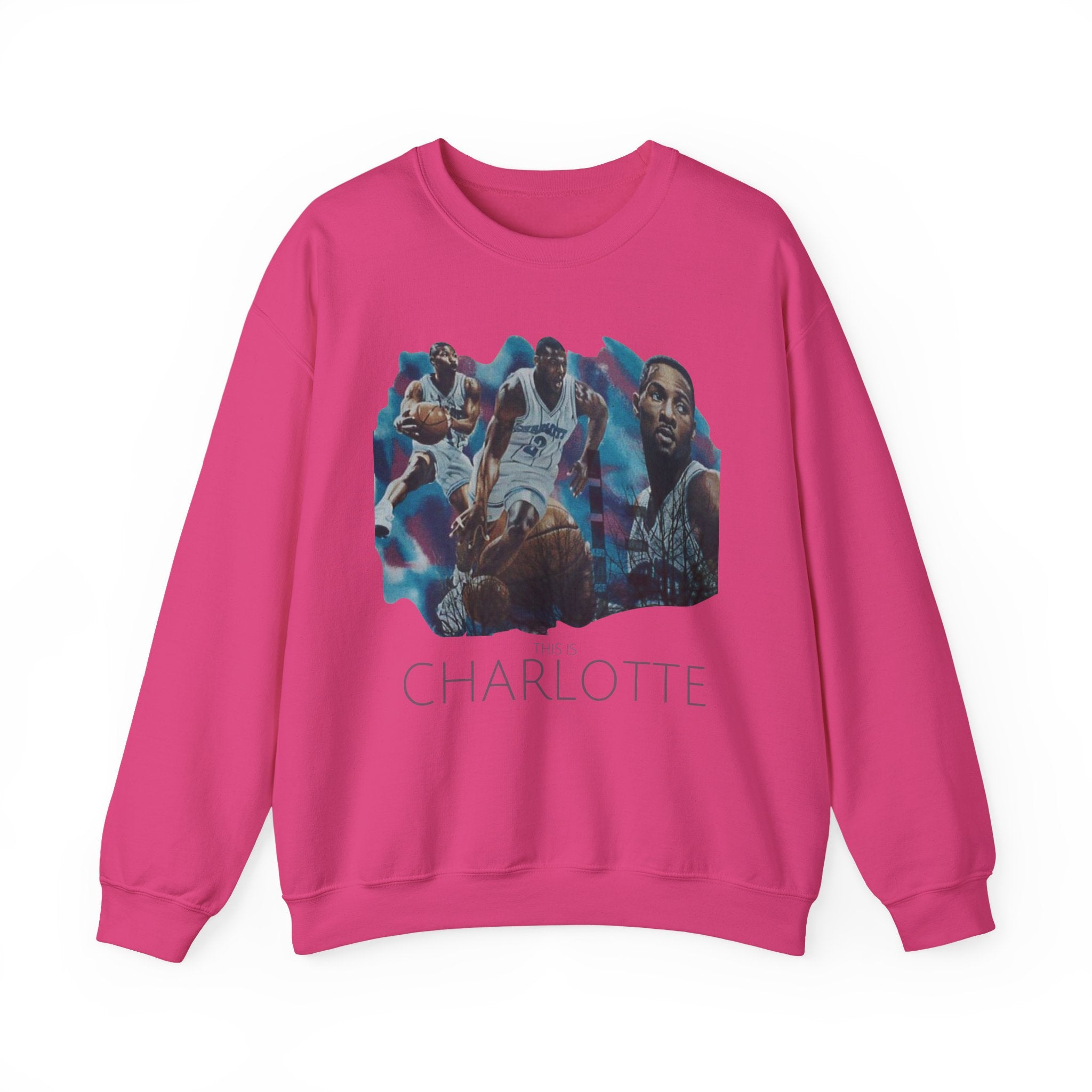 CLT Hornets Vintage Mural Sweatshirt