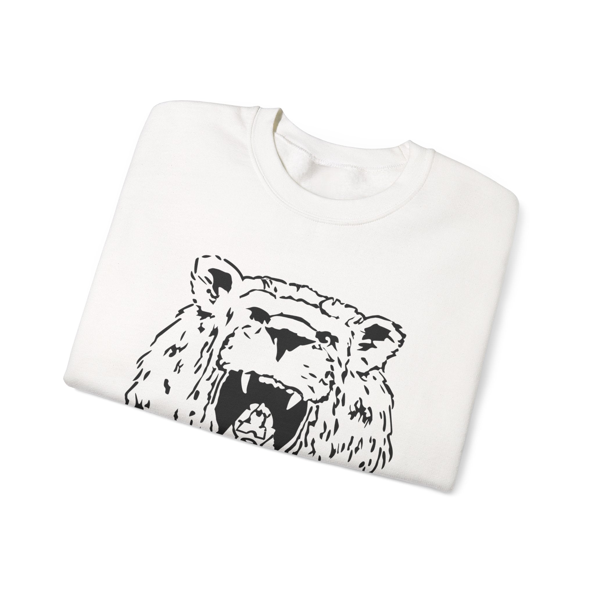 Young Lions “Simba” Adult Sizes Sweatshirt 2
