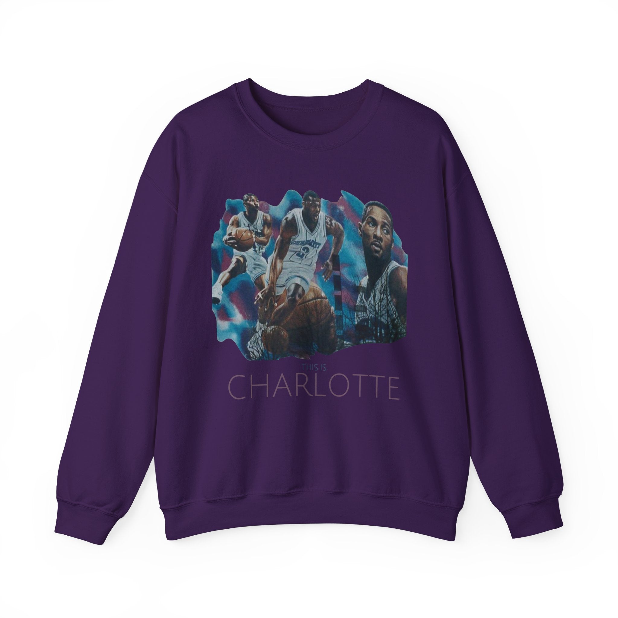 CLT Hornets Vintage Mural Sweatshirt