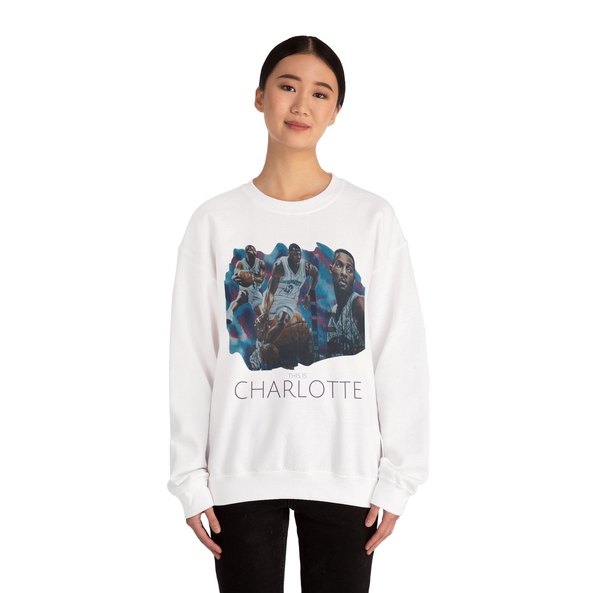 CLT Hornets Vintage Mural Sweatshirt
