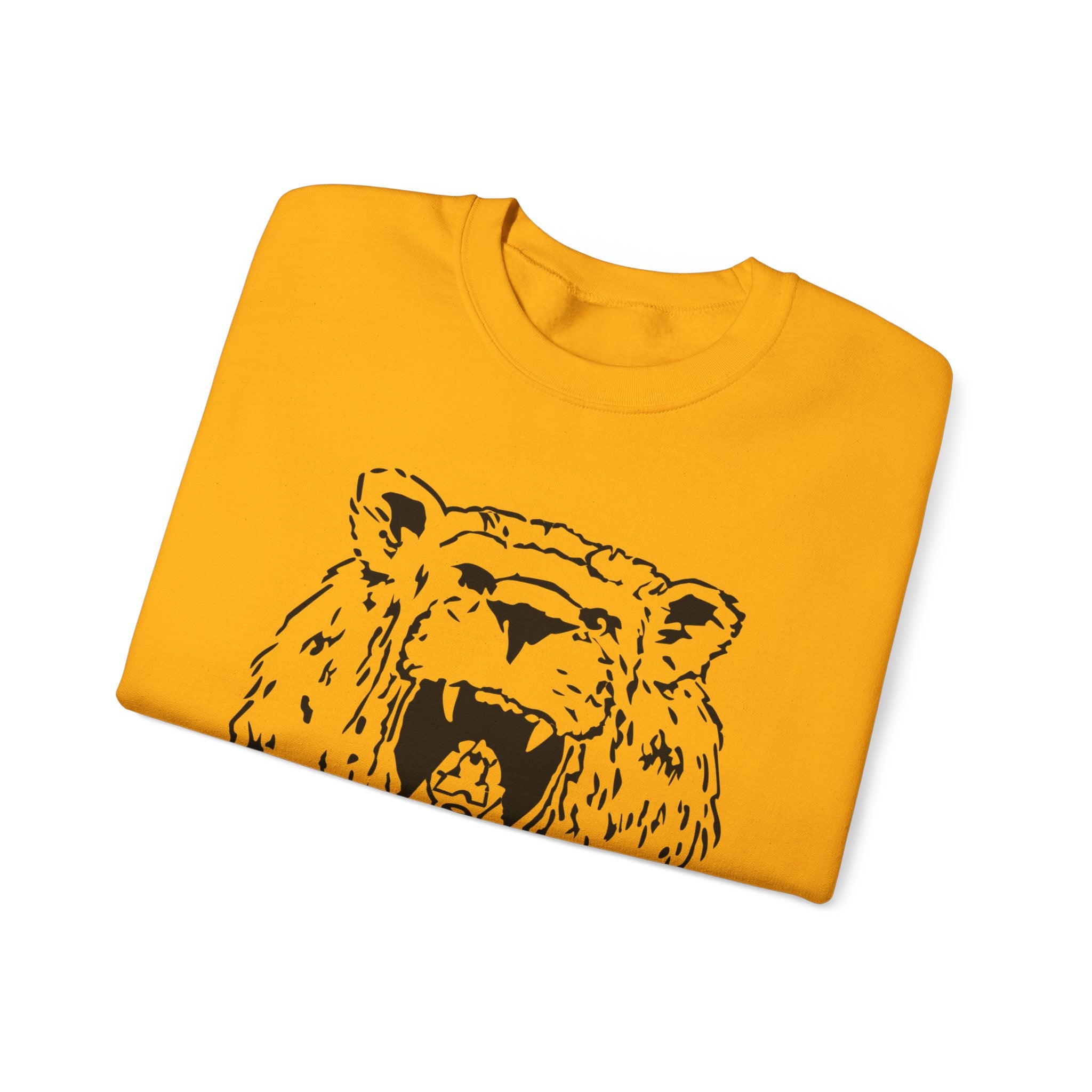 Young Lions “Simba” Adult Sizes Sweatshirt 2