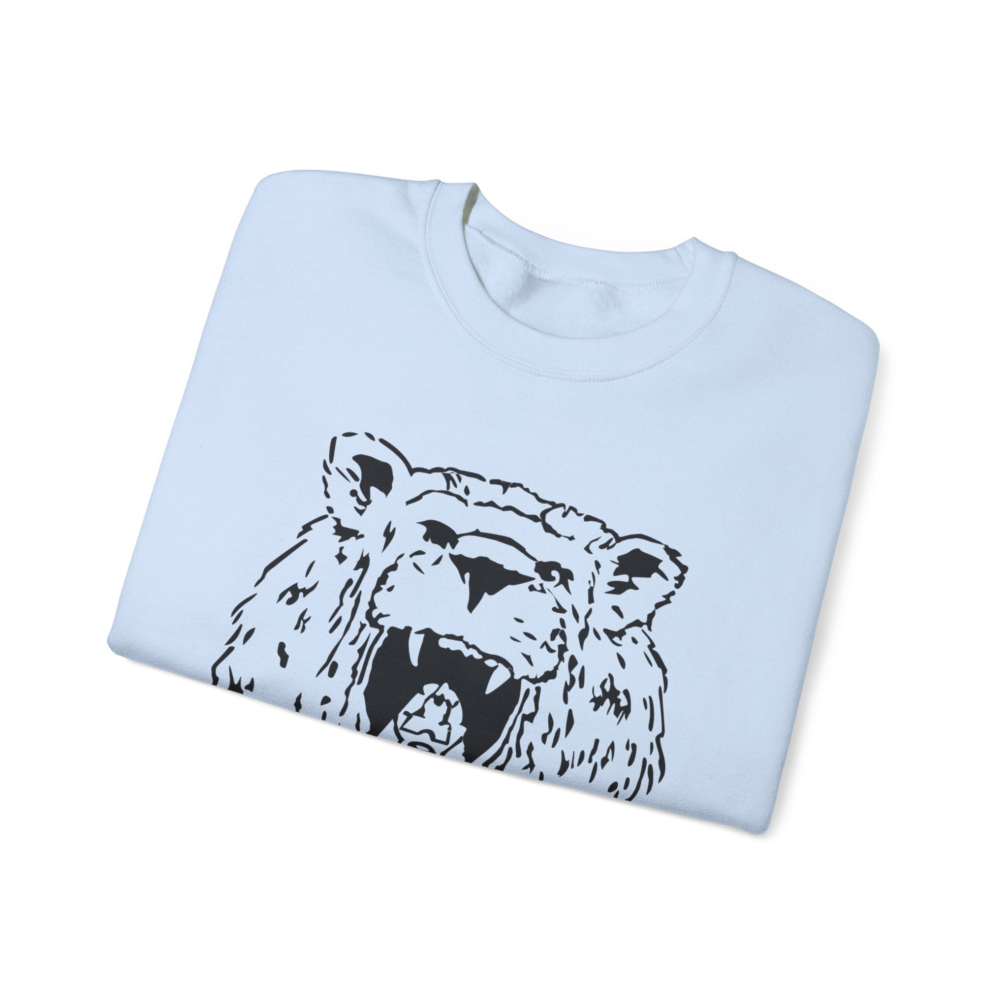 Young Lions “Simba” Adult Sizes Sweatshirt 2