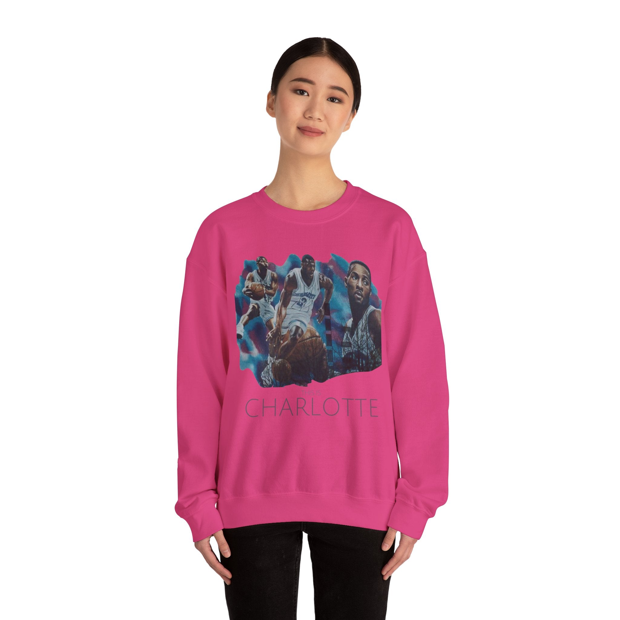 CLT Hornets Vintage Mural Sweatshirt