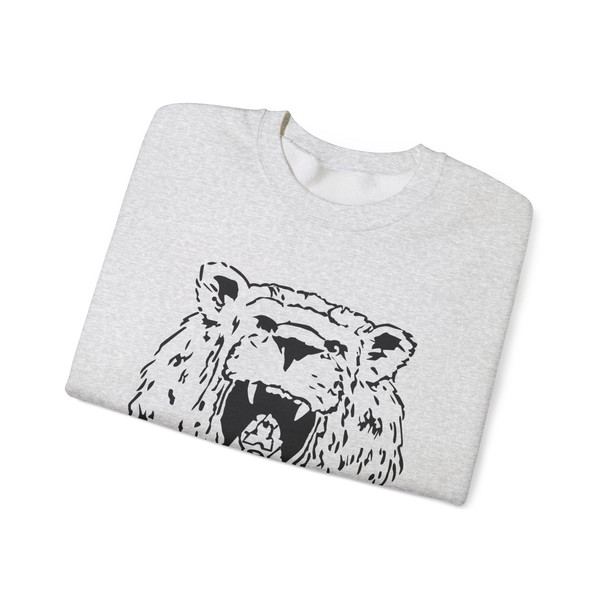 Young Lions “Simba” Adult Sizes Sweatshirt 2