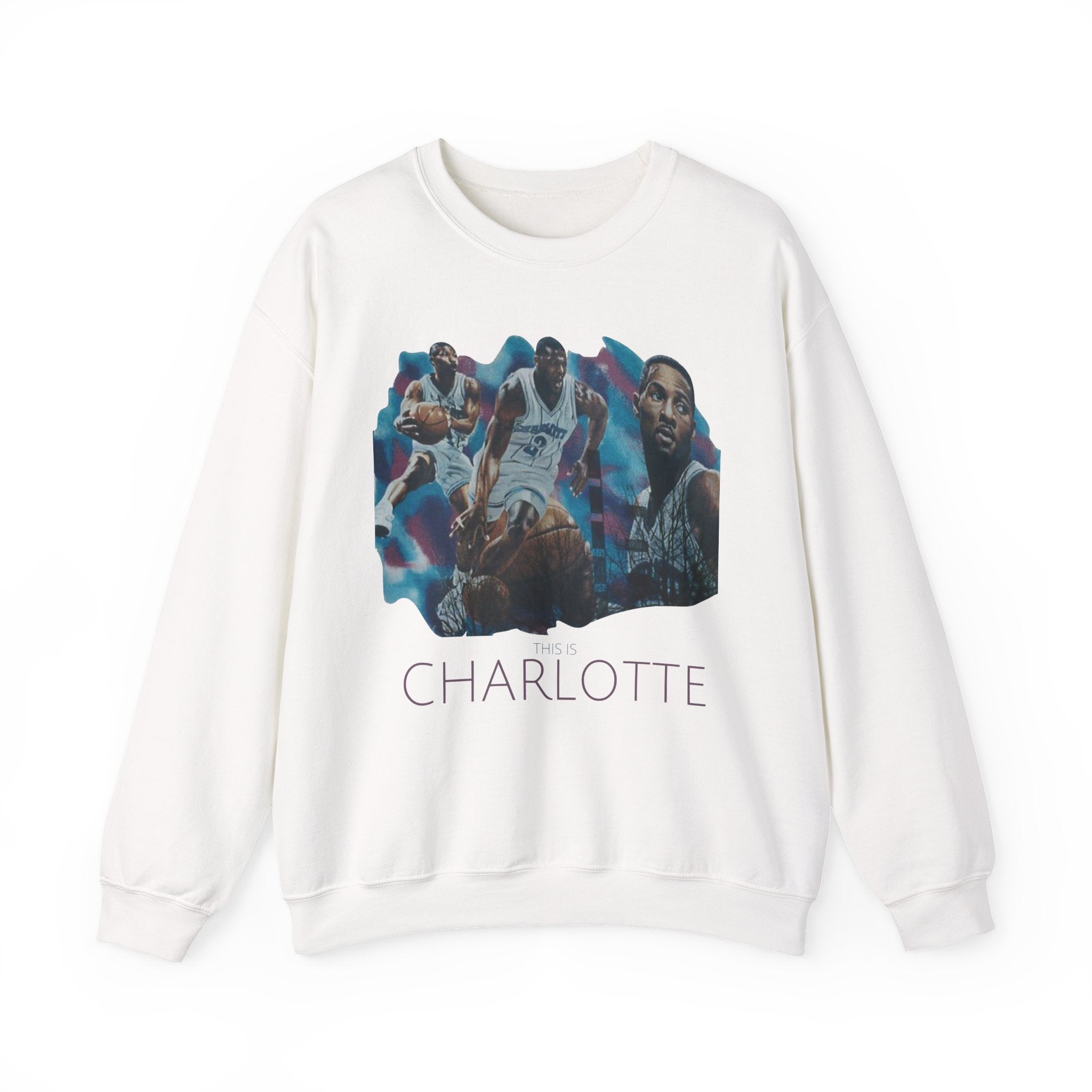 CLT Hornets Vintage Mural Sweatshirt